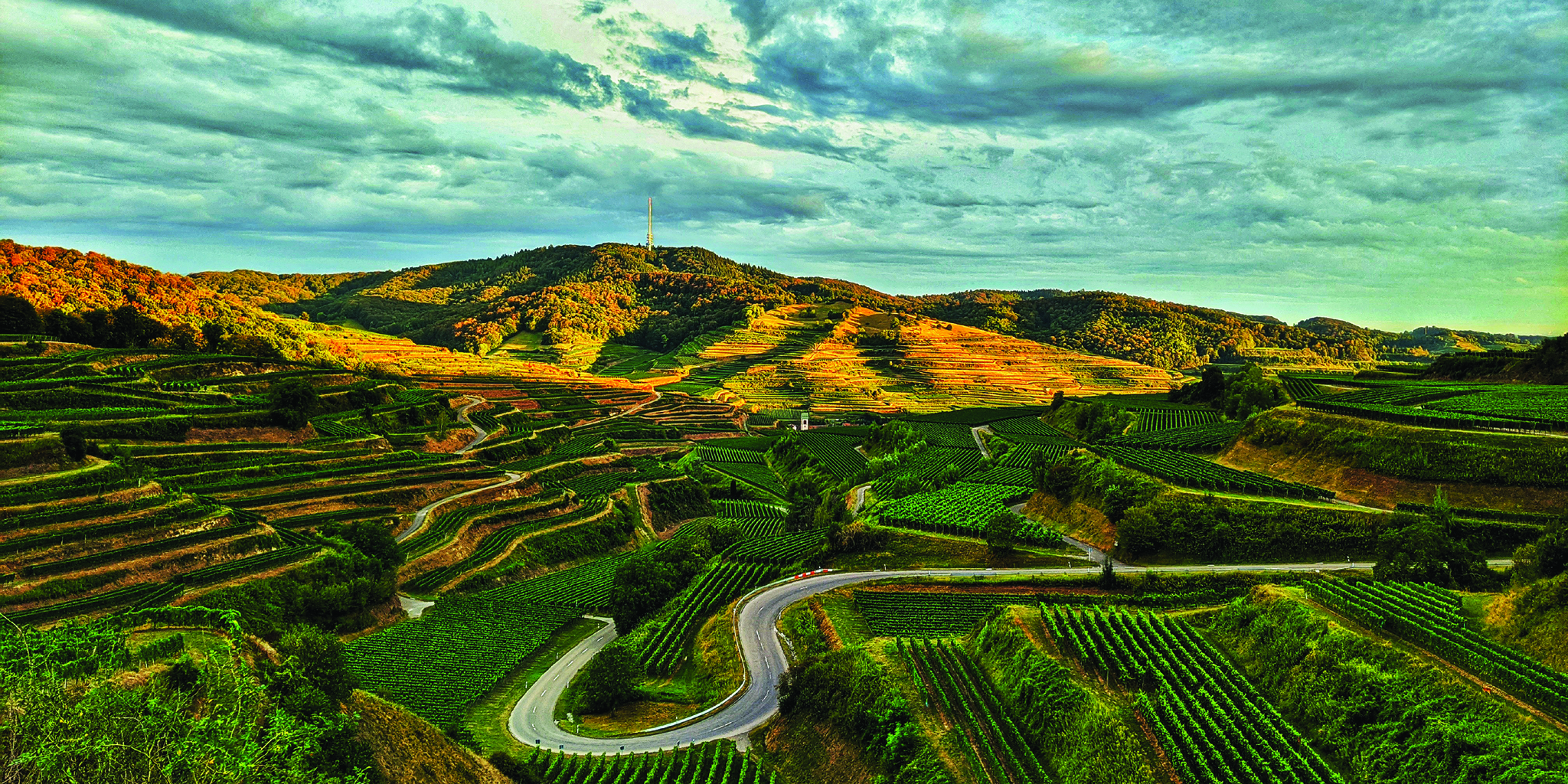 Vin Bustur Baden 8-11 April 2027