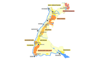 Baden Vin information