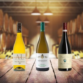 Smagekasse /3 fl - Podcast - Vin for begyndere - Baden