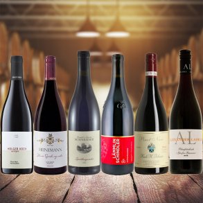 Smagekasse /6 fl - Overblik over Druer, Producenter - RDVIN