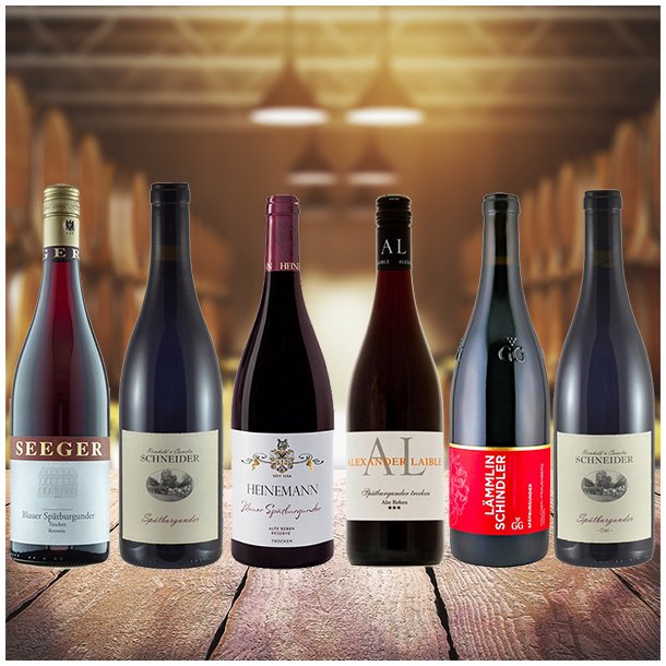 Smagekasse /6 fl - Sp�tburgunder