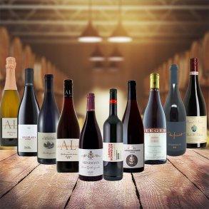 Smagekasse /10 fl - Overblik over Druer og Producenter - FOKUS Rdvin